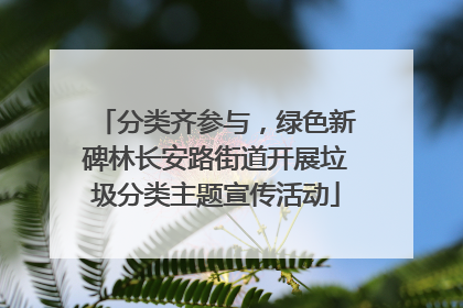 分类齐参与，绿色新碑林长安路街道开展垃圾分类主题宣传活动