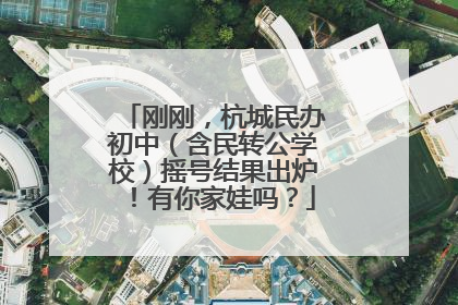 刚刚，杭城民办初中（含民转公学校）摇号结果出炉！有你家娃吗？
