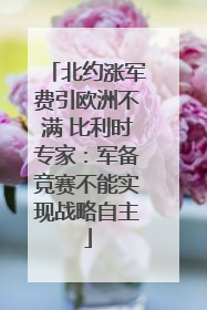 北约涨军费引欧洲不满 比利时专家：军备竞赛不能实现战略自主
