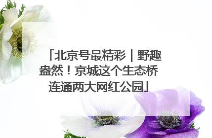 北京号最精彩｜野趣盎然！京城这个生态桥连通两大网红公园