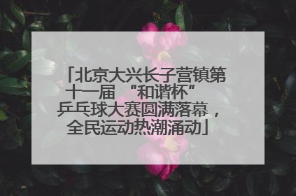 北京大兴长子营镇第十一届 “和谐杯” 乒乓球大赛圆满落幕，全民运动热潮涌动