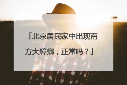 北京居民家中出现南方大蟑螂，正常吗？