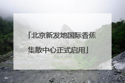 北京新发地国际香蕉集散中心正式启用