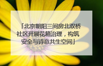北京朝阳三间房北双桥社区开展花箱治理，构筑安全与诗意共生空间