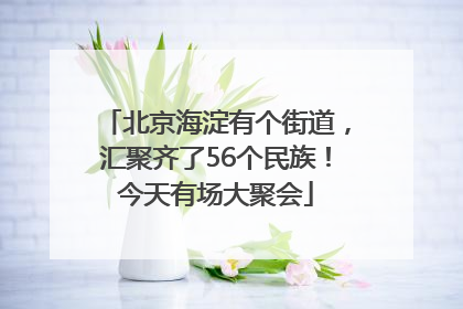 北京海淀有个街道，汇聚齐了56个民族！今天有场大聚会