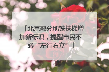 北京部分地铁扶梯增加新标识，提醒市民不必“左行右立”