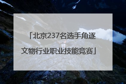 北京237名选手角逐文物行业职业技能竞赛