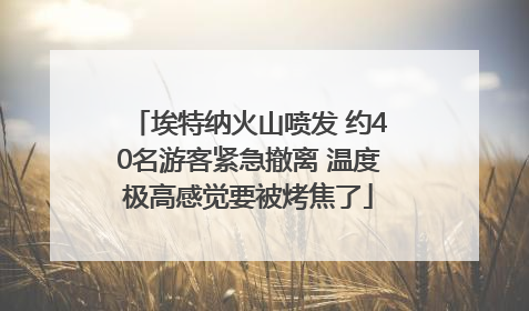 埃特纳火山喷发 约40名游客紧急撤离 温度极高感觉要被烤焦了