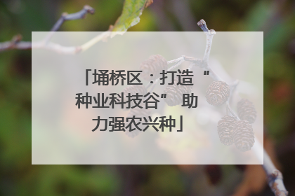 埇桥区：打造“种业科技谷” 助力强农兴种