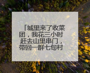 城里来了收菜团，我花三小时赶去山里串门，带回一群七旬村民的心愿