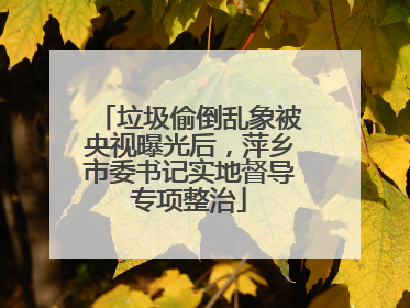 垃圾偷倒乱象被央视曝光后，萍乡市委书记实地督导专项整治