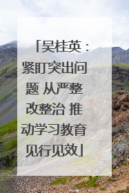 吴桂英：紧盯突出问题 从严整改整治 推动学习教育见行见效