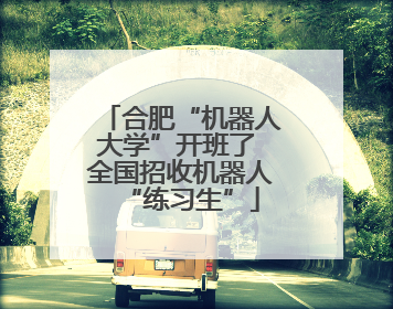 合肥“机器人大学”开班了 全国招收机器人“练习生”