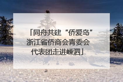 同舟共建“侨爱岛” 浙江省侨商会青委会代表团走进嵊泗