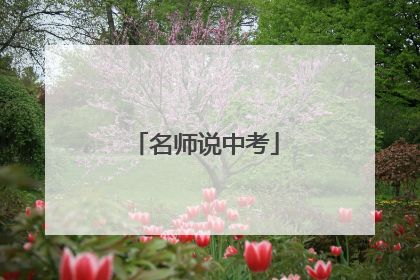 名师说中考