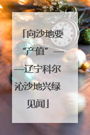 向沙地要“产值”——辽宁科尔沁沙地兴绿见闻