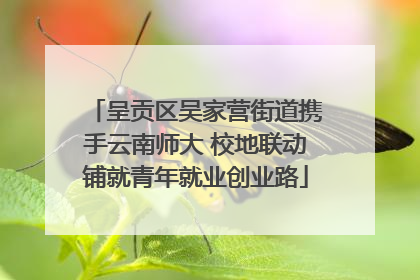 呈贡区吴家营街道携手云南师大 校地联动铺就青年就业创业路