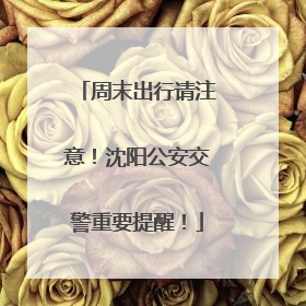 周末出行请注意！沈阳公安交警重要提醒！