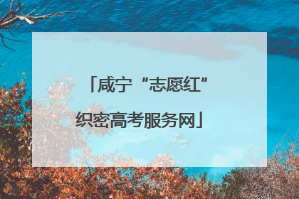咸宁“志愿红”织密高考服务网