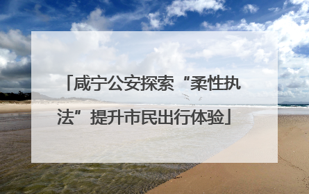咸宁公安探索“柔性执法”提升市民出行体验