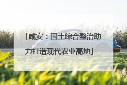 咸安：国土综合整治助力打造现代农业高地