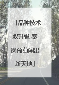 品种技术双升级 秦岗葡萄闯出新天地