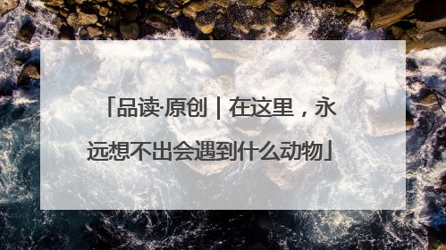 品读·原创｜在这里，永远想不出会遇到什么动物