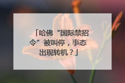 哈佛“国际禁招令”被叫停，事态出现转机？