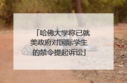 哈佛大学称已就美政府对国际学生的禁令提起诉讼