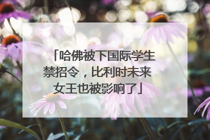 哈佛被下国际学生禁招令，比利时未来女王也被影响了