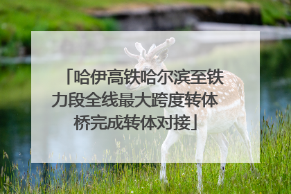 哈伊高铁哈尔滨至铁力段全线最大跨度转体桥完成转体对接