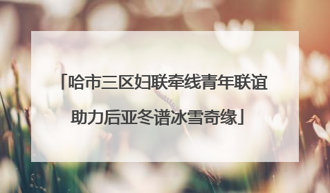 哈市三区妇联牵线青年联谊 助力后亚冬谱冰雪奇缘