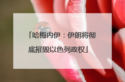 哈梅内伊：伊朗将彻底摧毁以色列政权