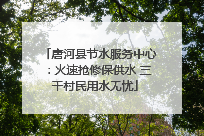 唐河县节水服务中心：火速抢修保供水 三千村民用水无忧