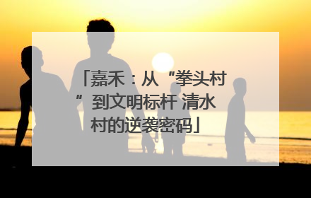 嘉禾：从“拳头村”到文明标杆 清水村的逆袭密码