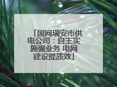 国网瑞安市供电公司：自主实施强业务 电网建设提质效