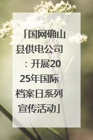 国网确山县供电公司：开展2025年国际档案日系列宣传活动
