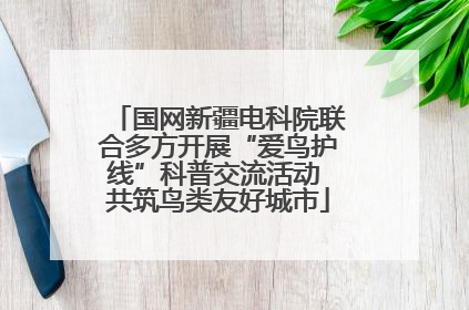 国网新疆电科院联合多方开展“爱鸟护线”科普交流活动 共筑鸟类友好城市