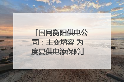 国网衡阳供电公司：主变增容 为度夏供电添保障