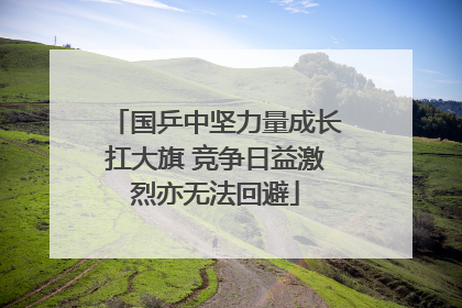 国乒中坚力量成长扛大旗 竞争日益激烈亦无法回避