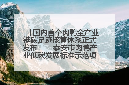 国内首个肉鸭全产业链碳足迹核算体系正式发布——泰安市肉鸭产业低碳发展标准示范项目顺利通过验收