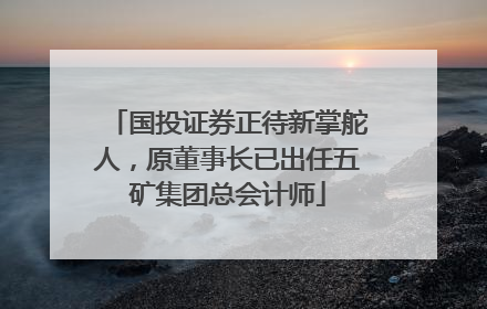 国投证券正待新掌舵人，原董事长已出任五矿集团总会计师
