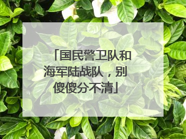 国民警卫队和海军陆战队，别傻傻分不清