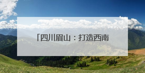 四川眉山：打造西南天府国际物流枢纽