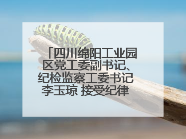 四川绵阳工业园区党工委副书记、纪检监察工委书记李玉琼 接受纪律审查和监察调查