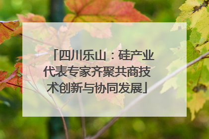四川乐山：硅产业代表专家齐聚共商技术创新与协同发展