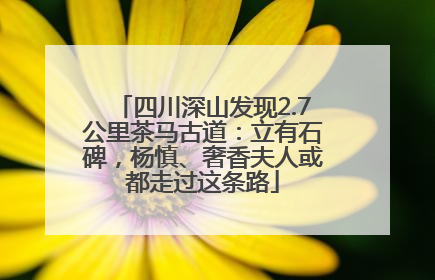 四川深山发现2.7公里茶马古道：立有石碑，杨慎、奢香夫人或都走过这条路