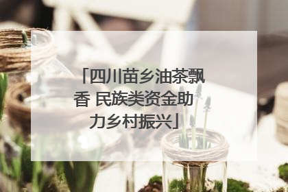 四川苗乡油茶飘香 民族类资金助力乡村振兴