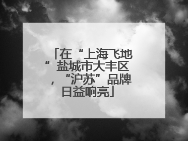 在“上海飞地”盐城市大丰区，“沪苏”品牌日益响亮