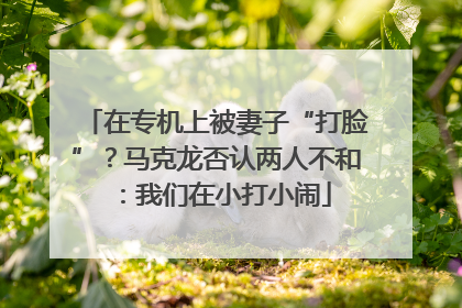 在专机上被妻子“打脸”？马克龙否认两人不和：我们在小打小闹